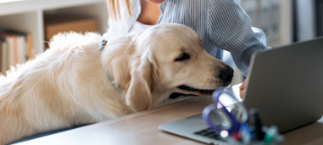 Topic Discussions for Pet Owners